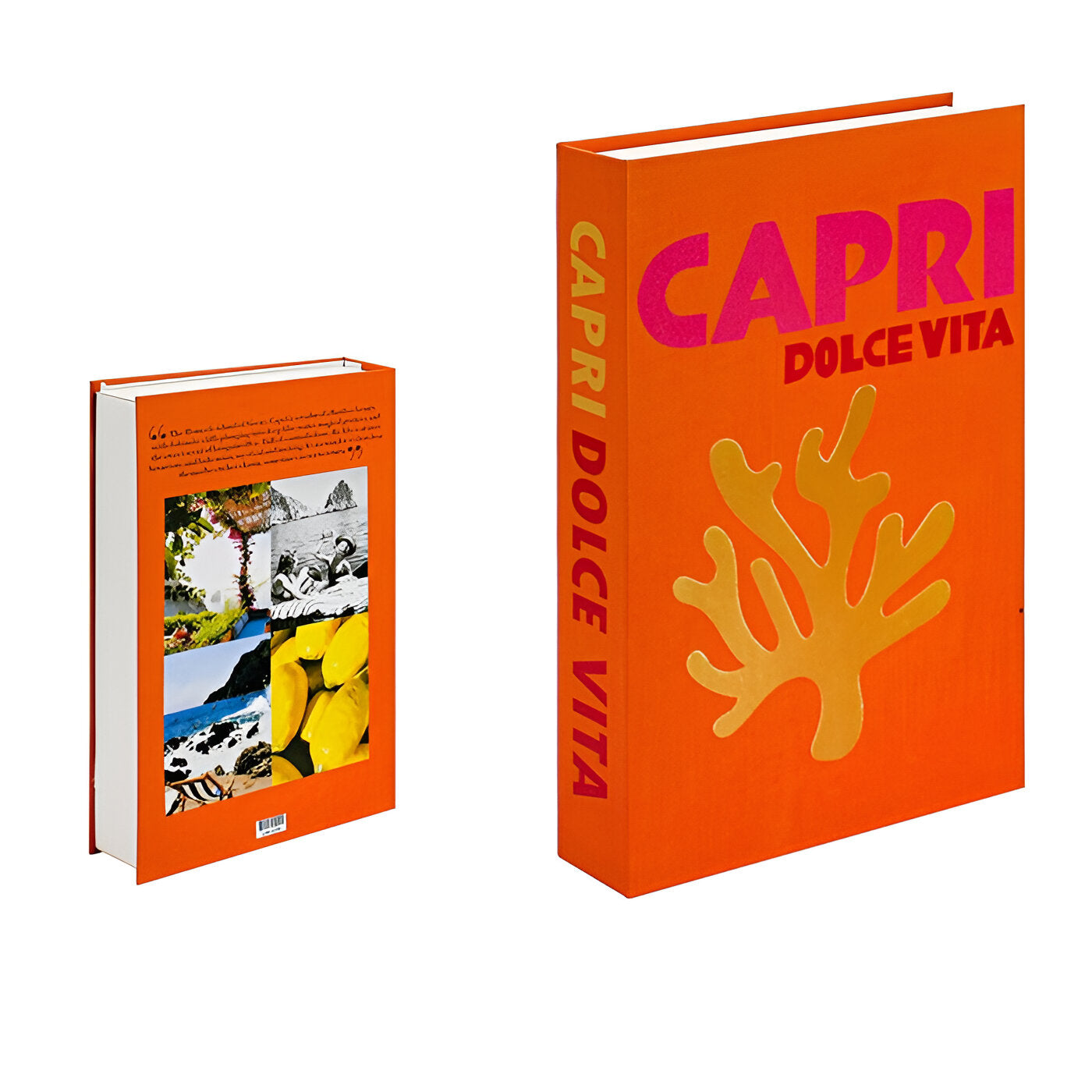 ColorBook – Deko-Buch mit Aufbewahrungsfunktion